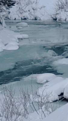 Twisp River 2022.gif (16.39 MiB) Viewed 44120 times Twisp River 05 January 2022