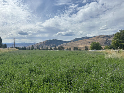 field 3.jpg