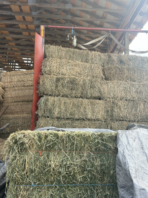 Stack2-1.jpg