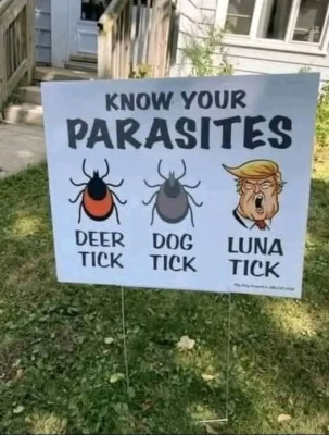 tick.jpg