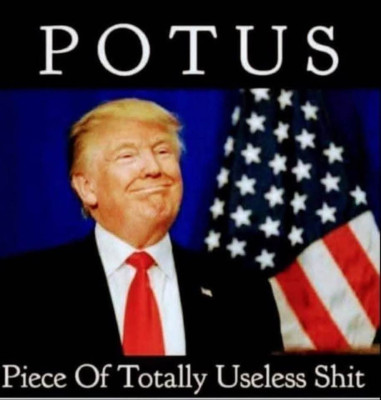 potus.jpg